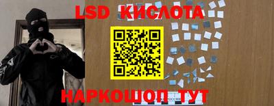 стафф Камышлов