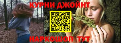 стафф Камышлов