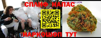 стафф Камышлов