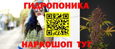 стафф Камышлов