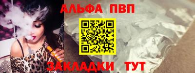 стафф Камышлов