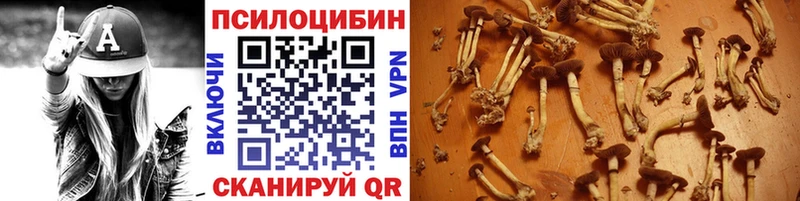 Галлюциногенные грибы ЛСД  Лениногорск 