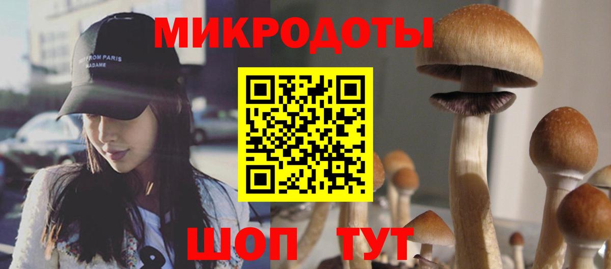 Псилоцибиновые грибы GOLDEN TEACHER  Галлюциногенные грибы Magic Shrooms  Лениногорск  Вход с VPN 